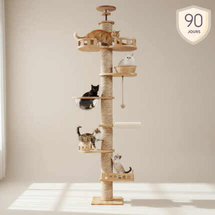 Arbre modulable pour chats avec plateformes et espaces d'observation