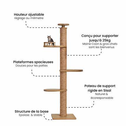 Arbre modulable pour chats avec plateformes et espaces d'observation