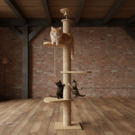 Colonne interactive pour chats avec plateformes design et bulle d'observation