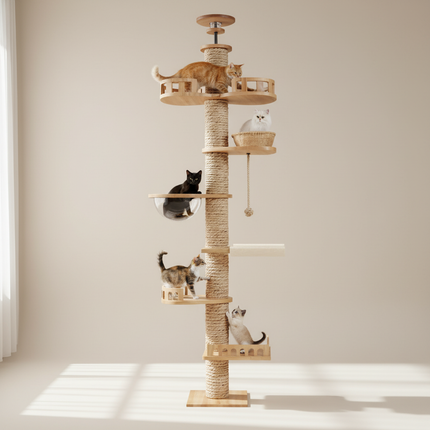Colonne interactive pour chats avec plateformes design et bulle d'observation