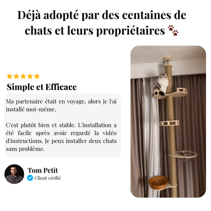 Arbre modulable pour chats avec plateformes et espaces d'observation