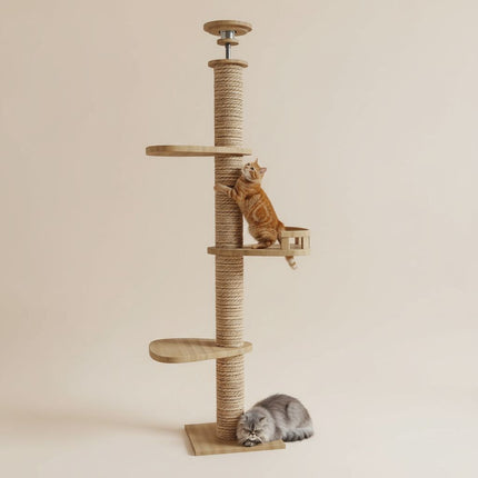 Colonne interactive pour chats avec plateformes design et bulle d'observation