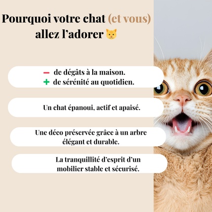 Arbre modulable pour chats avec plateformes et espaces d'observation