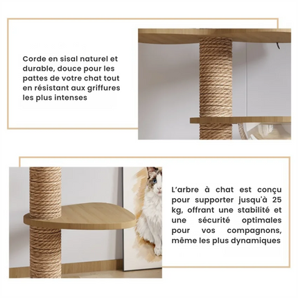 Colonne interactive pour chats avec plateformes design et bulle d'observation