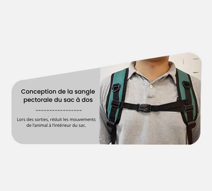 Sac à Dos confortable pour chat avec aération douce